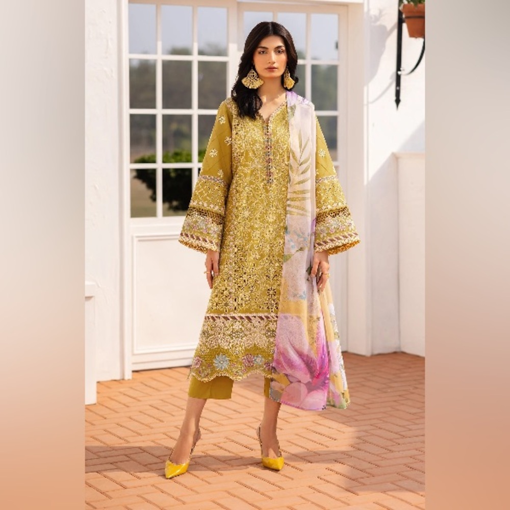 Pakistani Indian dress
